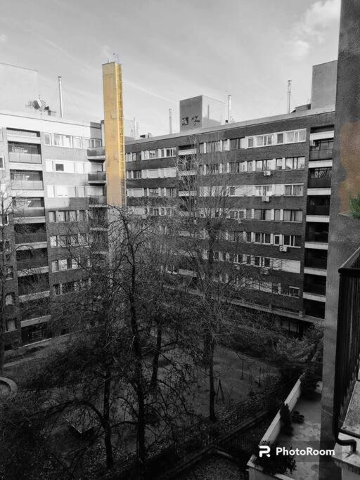 Danube Dwelling Asboth 19-2 Διαμέρισμα Βουδαπέστη Εξωτερικό φωτογραφία